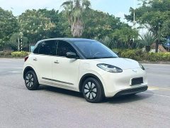 Wuling Binguo 333km Joy Edition - ფოტო 4