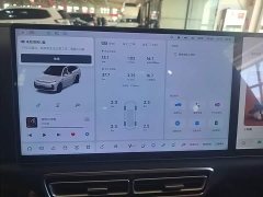 Li Auto L7 Pro - ფოტო 13