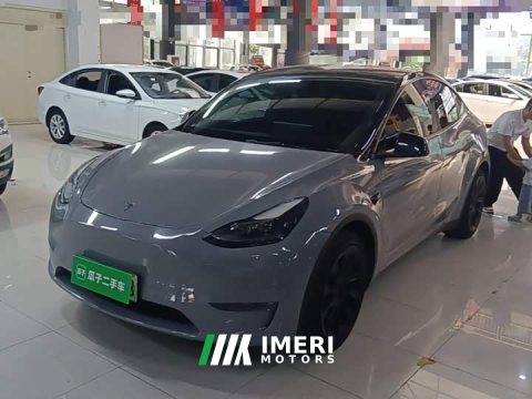 2021 Tesla Model Y Standard Range RWD - ავტომობილი ჩინეთიდან