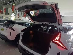 Geely Boyue 1.5TD Longteng Edition - ფოტო 19