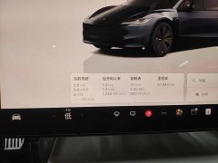 Tesla Model 3 2023 Rear-Wheel Drive - ფოტო 12