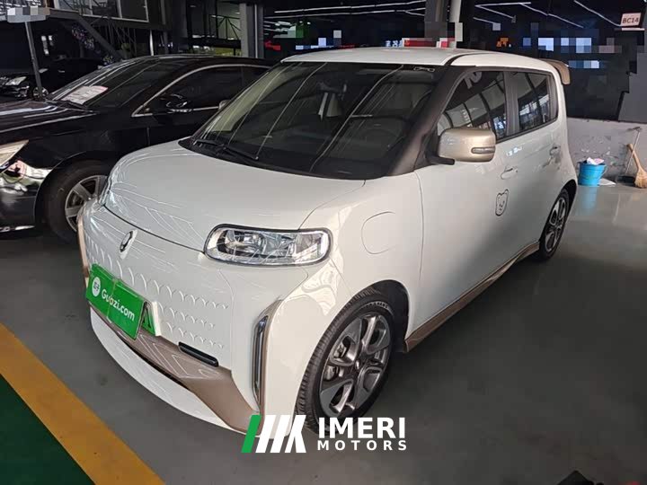 ORA White Cat 2020 360km Luxury - ავტომობილი ჩინეთიდან