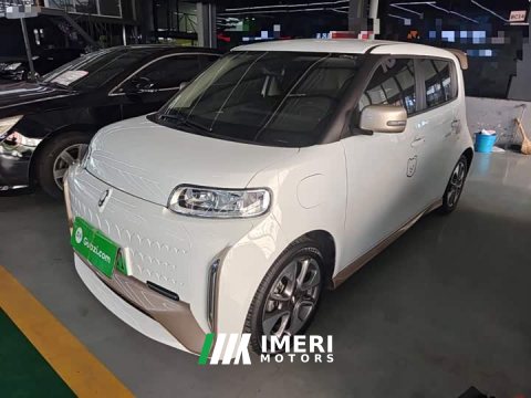 2021 ORA White Cat 2020 360km Luxury - ავტომობილი ჩინეთიდან