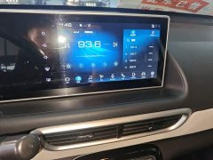 ORA White Cat 2020 360km Luxury - ფოტო 13