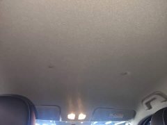 ORA White Cat 2020 360km Luxury - ფოტო 18