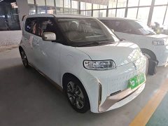 ORA White Cat 2020 360km Luxury - ფოტო 4