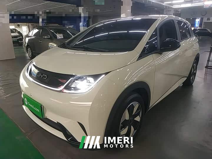 BYD Dolphin 420km Freedom Edition - ავტომობილი ჩინეთიდან