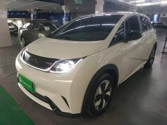 BYD Dolphin 420km Freedom Edition - ფოტო 1