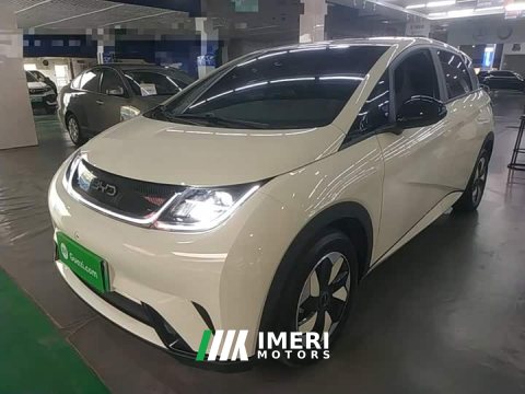 2025 BYD Dolphin 420km Freedom Edition - ავტომობილი ჩინეთიდან