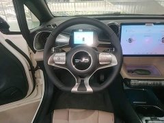 BYD Dolphin 420km Freedom Edition - ფოტო 11