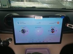 BYD Dolphin 420km Freedom Edition - ფოტო 13