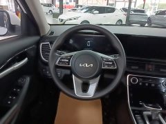 Kia Seltos 1.5L IVT Luxury - ფოტო 11