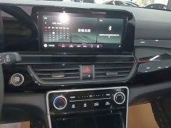 Kia Seltos 1.5L IVT Luxury - ფოტო 13