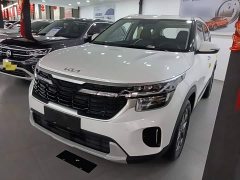 Kia Seltos 1.5L IVT Luxury - ფოტო 2