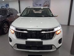 Kia Seltos 1.5L IVT Luxury - ფოტო 3