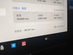 Tesla Model Y Rear-Wheel Drive - ფოტო 12