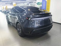 Tesla Model Y Rear-Wheel Drive - ფოტო 5