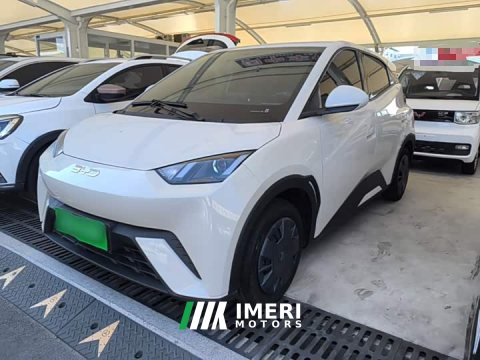 2024 BYD Seagull 2025 305km Vitality Edition - ავტომობილი ჩინეთიდან
