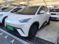 BYD Seagull 2025 305km Vitality Edition - ფოტო 2