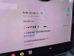 Tesla Model Y Standard Range RWD - ფოტო 12