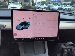 Tesla Model Y Standard Range RWD - ფოტო 13