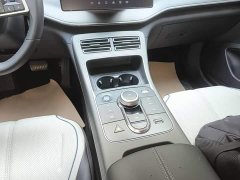 BYD Destroyer 05 2024 Glory Edition DM-i 55KM Luxury - ფოტო 14
