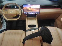 Dongfeng Fengshen L8 2025 185KM Dream Edition - ფოტო 10