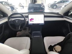 Tesla Model 3 Standard Range RWD Upgrade - ფოტო 10