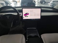 Tesla Model 3 Standard Range RWD Upgrade - ფოტო 13