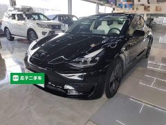 Tesla Model 3 Standard Range RWD Upgrade - ფოტო 2