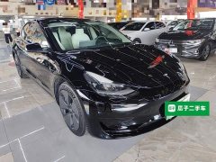 Tesla Model 3 Standard Range RWD Upgrade - ფოტო 4