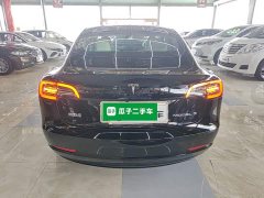 Tesla Model 3 Standard Range RWD Upgrade - ფოტო 6