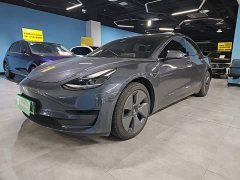 Tesla Model 3 Standard Range RWD Upgrade 3D6 - ფოტო 1