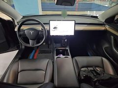 Tesla Model 3 Standard Range RWD Upgrade 3D6 - ფოტო 10