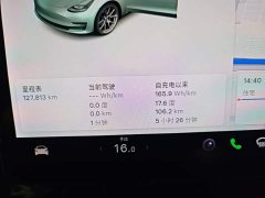 Tesla Model 3 Standard Range RWD Upgrade 3D6 - ფოტო 12