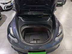 Tesla Model 3 Standard Range RWD Upgrade 3D6 - ფოტო 20