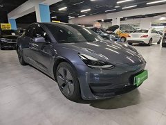 Tesla Model 3 Standard Range RWD Upgrade 3D6 - ფოტო 4