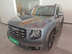 Great Wall Dachshund 2.0T DCT Four-Wheel Drive Howling Celestial Dog Edition - ფოტო 1