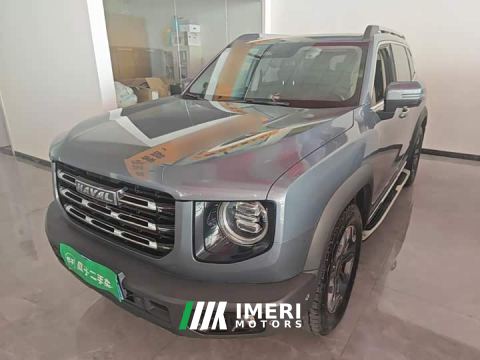 2022 Great Wall Dachshund 2.0T DCT Four-Wheel Drive Howling Celestial Dog Edition