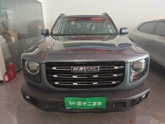 Great Wall Dachshund 2.0T DCT Four-Wheel Drive Howling Celestial Dog Edition - ფოტო 3