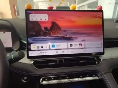 Geely Xingrui Oriental Radiance 1.5TD Kunlun Edition - ფოტო 13
