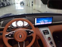 ORA Lightning Cat 2022 555km Deluxe Edition - ფოტო 14