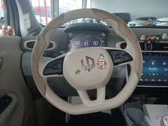 Leapmotor Leapo T03 310 Comfort Edition - ფოტო 11