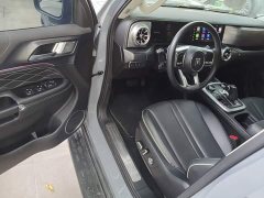 Tank 300 Off-Road Edition 2.0T Conqueror - ფოტო 16