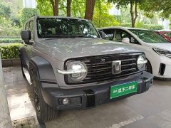 Tank 300 Off-Road Edition 2.0T Conqueror - ფოტო 4