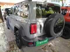Tank 300 Off-Road Edition 2.0T Conqueror - ფოტო 5