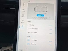 XPeng G3 G3i 460G - ფოტო 12