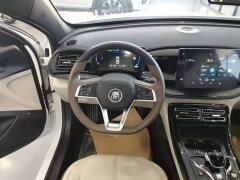 BYD Qin PLUS Glory Edition DM-i 55KM Leading - ფოტო 11