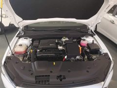 BYD Qin PLUS Glory Edition DM-i 55KM Leading - ფოტო 20