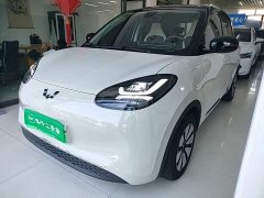 Wuling Binguo 2025 333km Joy Edition - ფოტო 1